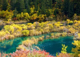 پارک ملی Jiuzhaigou چین دوباره گردشگران را میپذیرد
