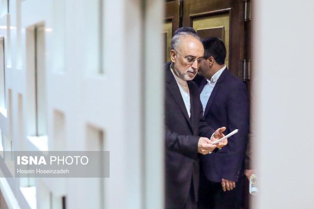 صالحی وارد وین شد صالحی وارد وین شد