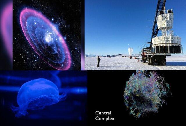 تصاویر جالب از عجیب ترین تحولات علمی هفته اخیر