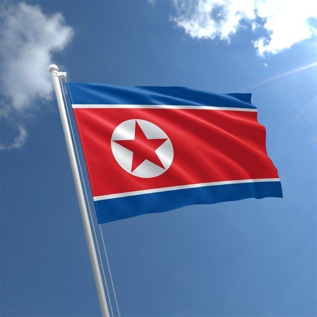 روزنامه کره شمالی: یاری امپریالیست ها به خود ویرانی می انجامد