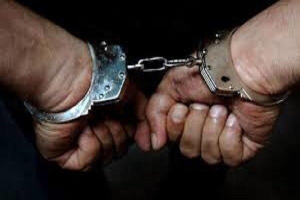 دستگیری 11 دزد حرفه ای در دره شهر