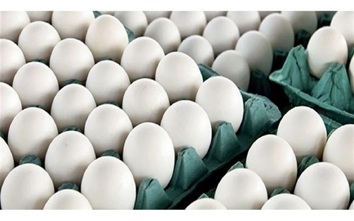 مازاد فراوری 10 هزارتن تخم مرغ در روز
