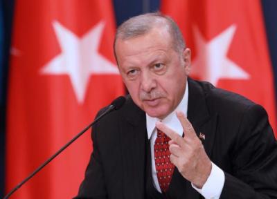 اردوغان: ماکرون ابتدا مشکل جلیقه زردها را حل نماید