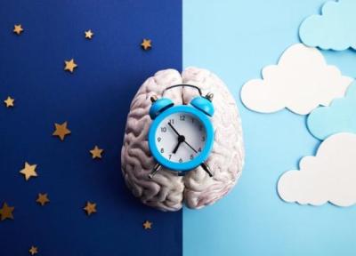 یک پژوهش تازه، سلول ها و مسیرهای عصبی را که رفتار قبل از خواب ما را شکل می دهند، شناسایی نموده است