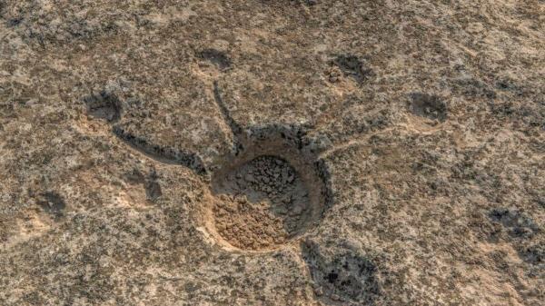 نماد های مرموز حکاکی شده در صحرای قطر