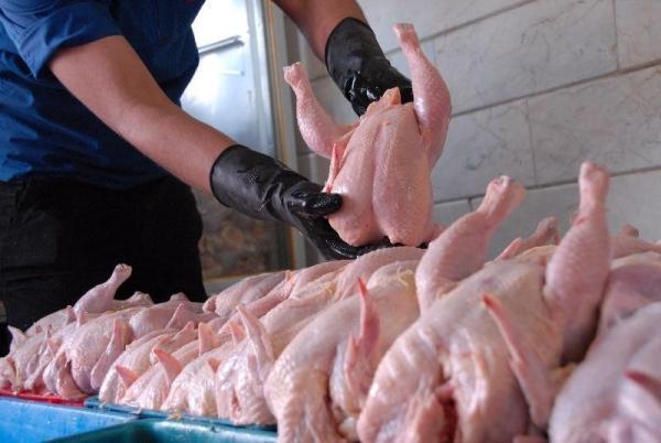 مهلت یک هفته ای مجلس به وزارت کشاورزی برای کنترل قیمت مرغ